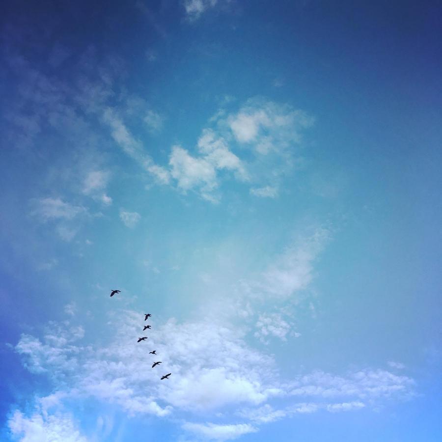 Amber-Blue Juodkrante Daire Dış mekan fotoğraf